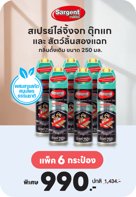 Sargent สเปรย์ไล่จิ้งจก ตุ๊กแก และ สัตว์ลิ้นสองแฉก กลิ่นดั้งเดิม ขนาด 250 มล.(แพ็ค 6 กระป๋อง) ซาร์เจ้นท์